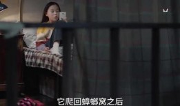 小慧姐爆料视频大全集最新,揭秘娱乐圈不为人知的秘密